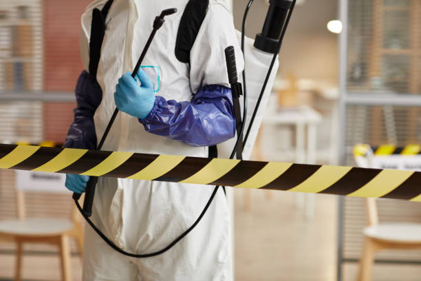 Professional Sewage Cleanup technician working in Red Feather Lakes, CO